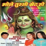 Bhole Tusi Great Ho - AKASA Song Download